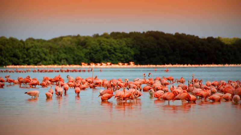 Celestún, Yucatán