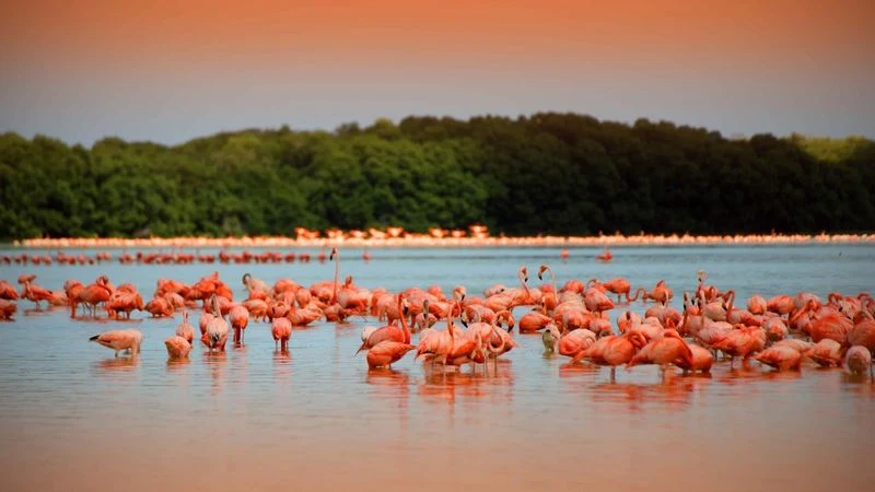 Celestún, Yucatán