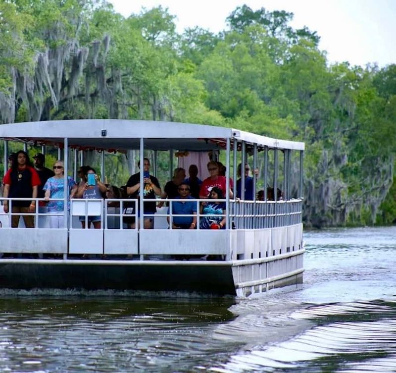 Skip: Swamp Tour X