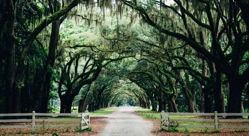 Savannah, Georgia