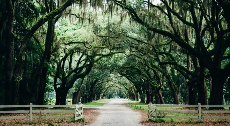 Savannah, Georgia
