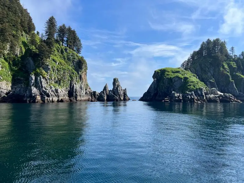 Lichens That Paint the Rocks