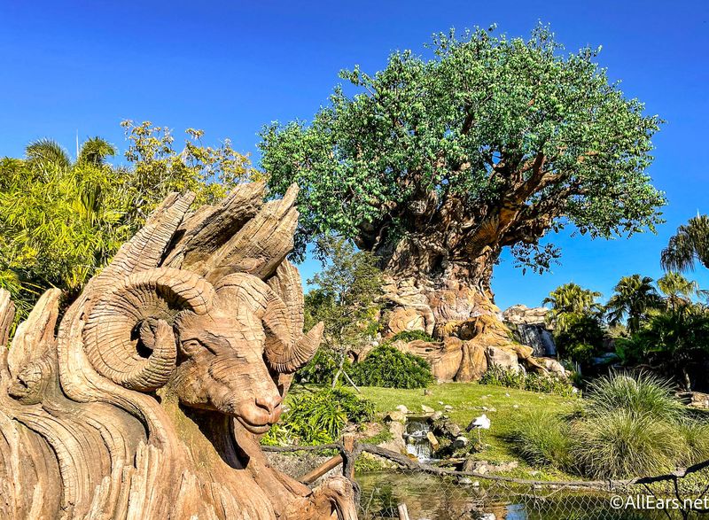 The Tree of Life