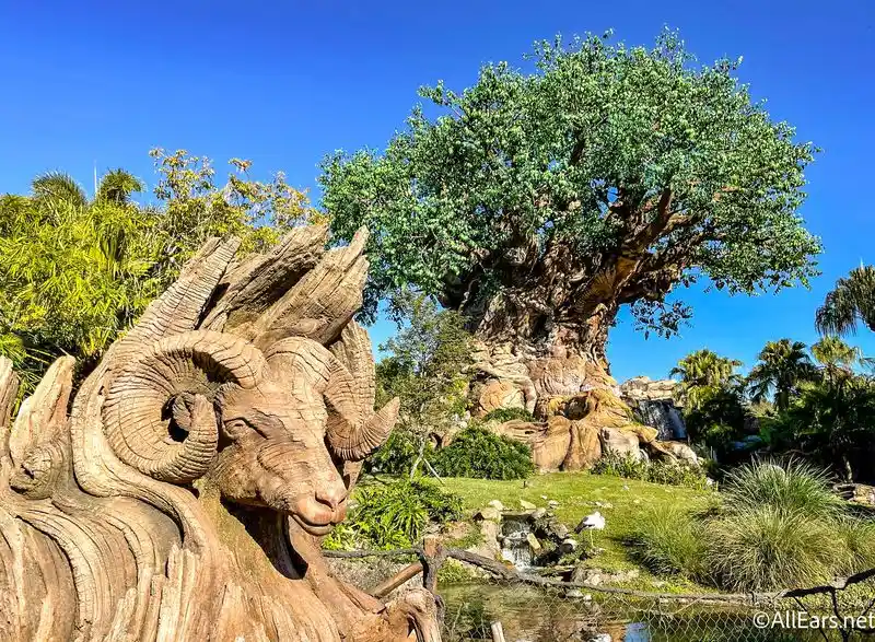 The Tree of Life