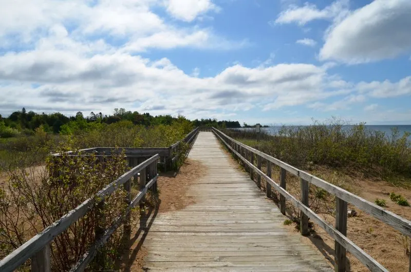 The Boardwalk
