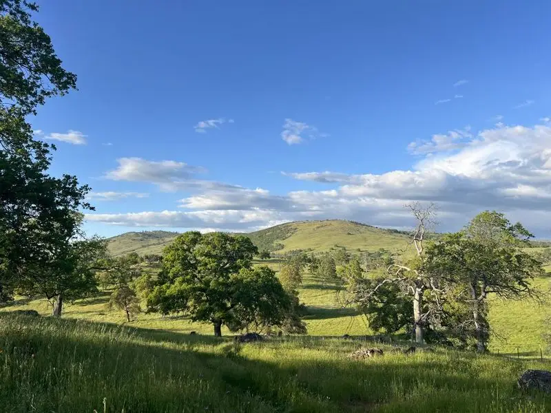 Sierra Foothill Conservancy