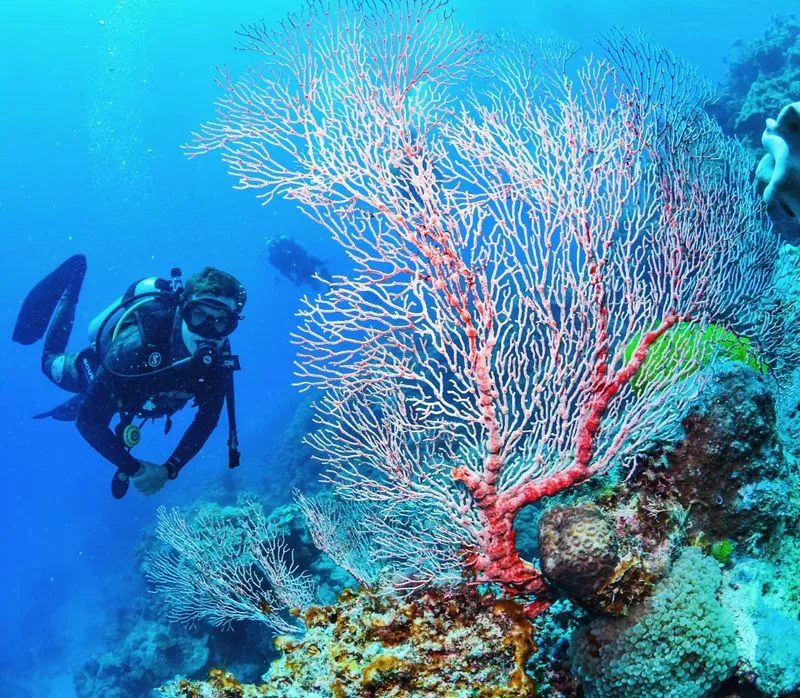 The Great Barrier Reef, Australia