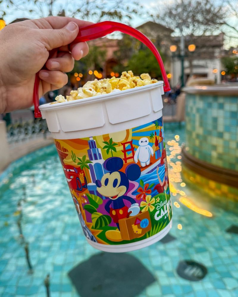 Souvenir Popcorn Buckets