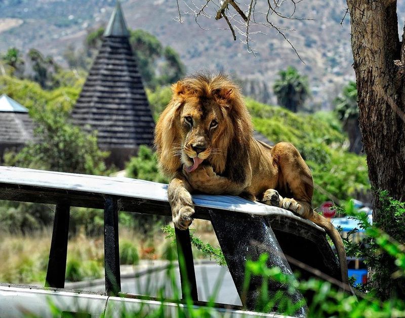 San Diego Zoo