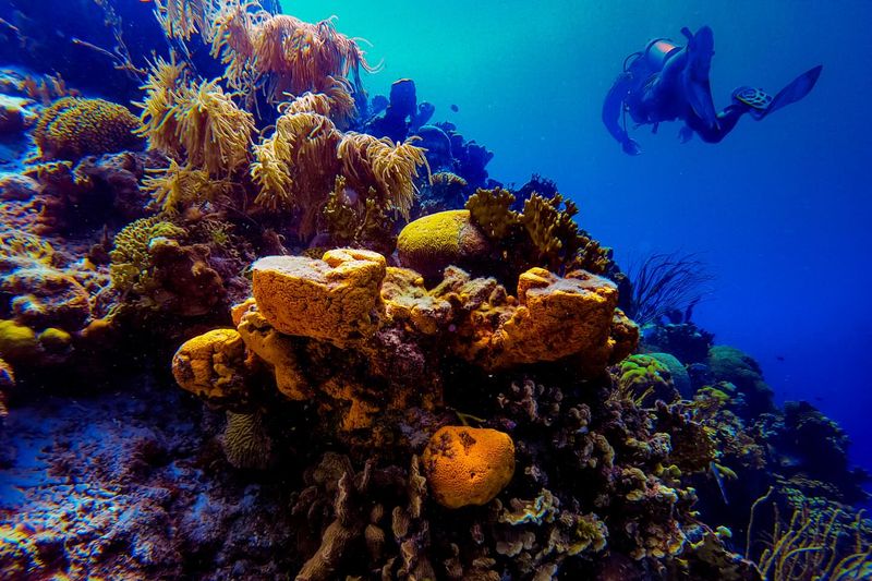 Bonaire, Caribbean Netherlands