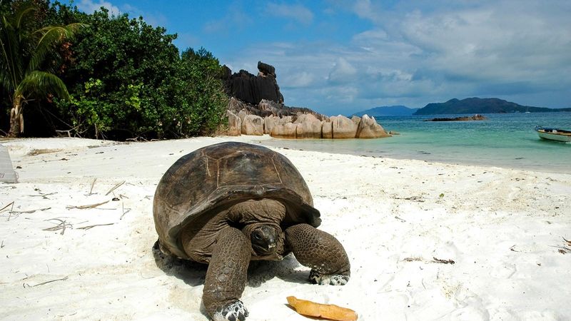 Seychelles