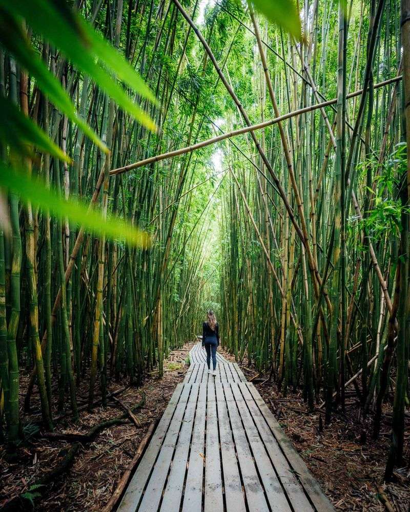 Pipiwai Trail, Maui