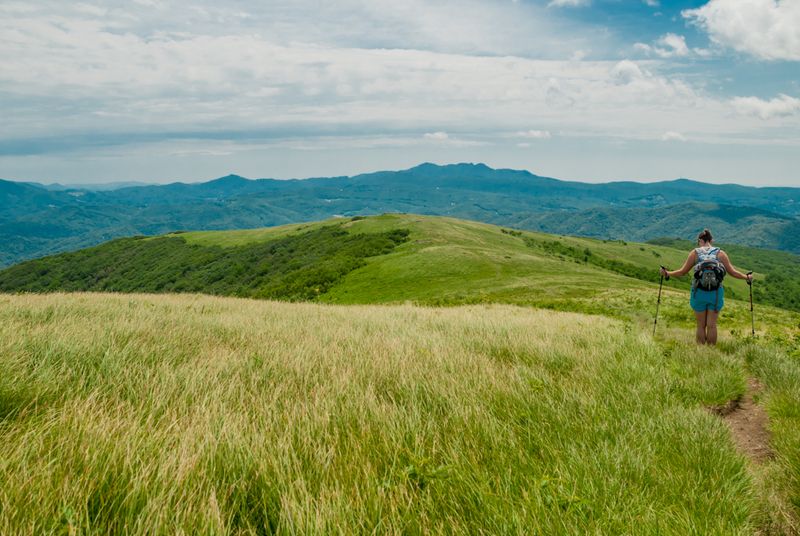 Roan Highlands, Tennessee/North Carolina Border – Rolling Mountain Meadows