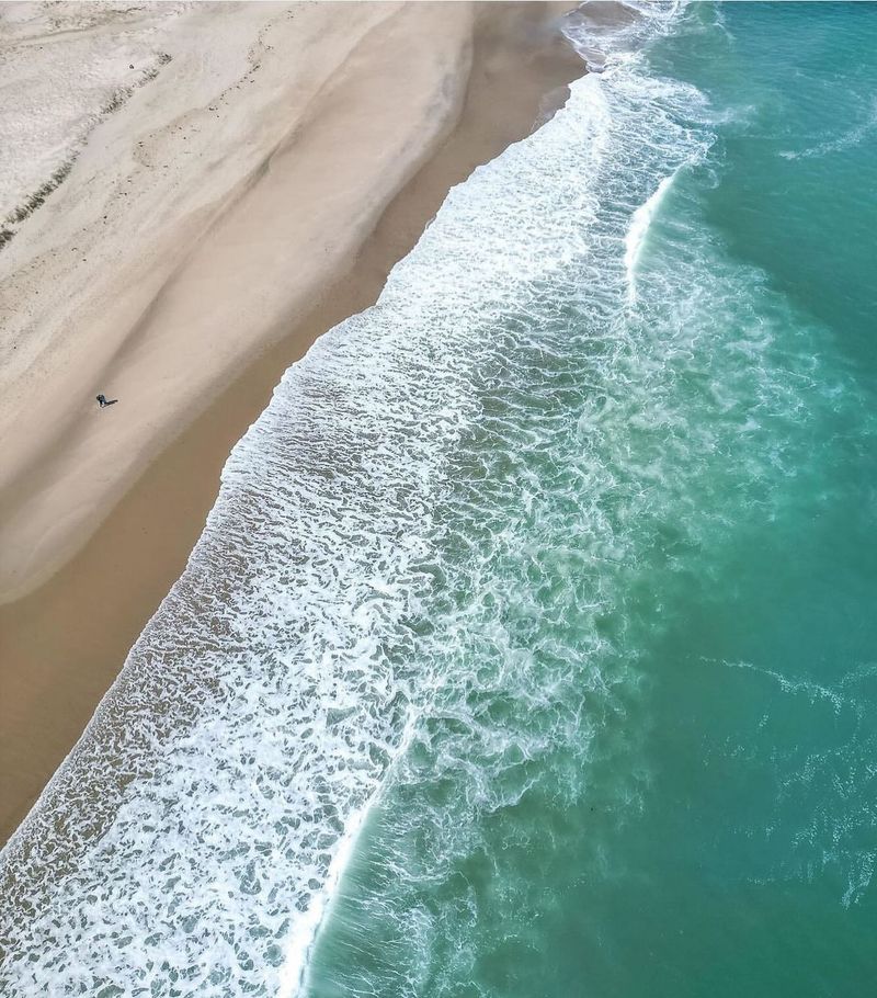Nauset Beach – Surf, Seals, and Salt Air