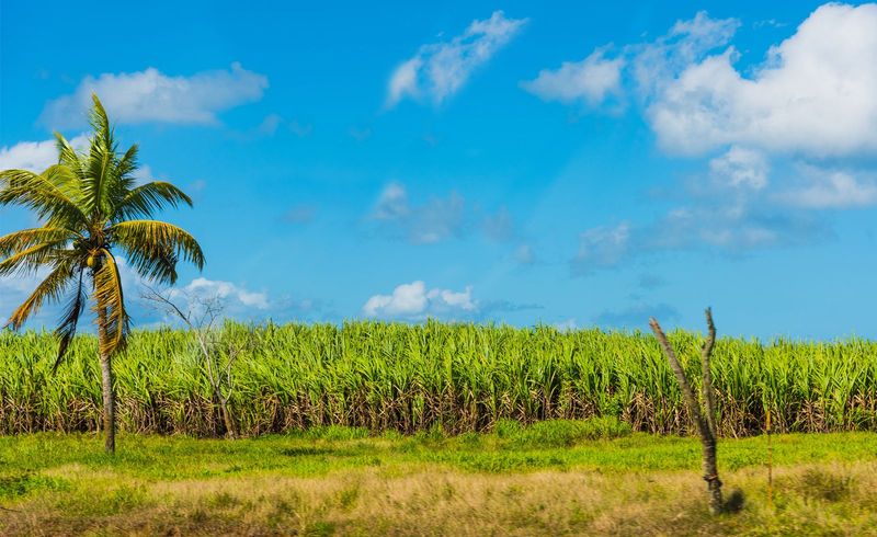 Marie-Galante, Guadeloupe