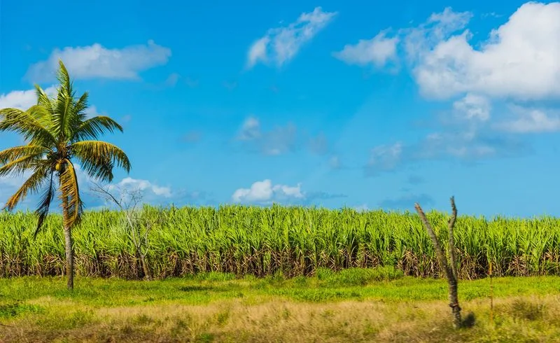 Marie-Galante, Guadeloupe