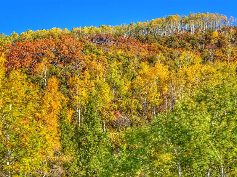 Copper Hill