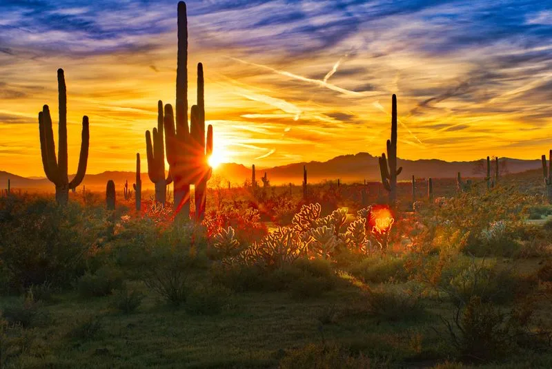 Phoenix, Arizona