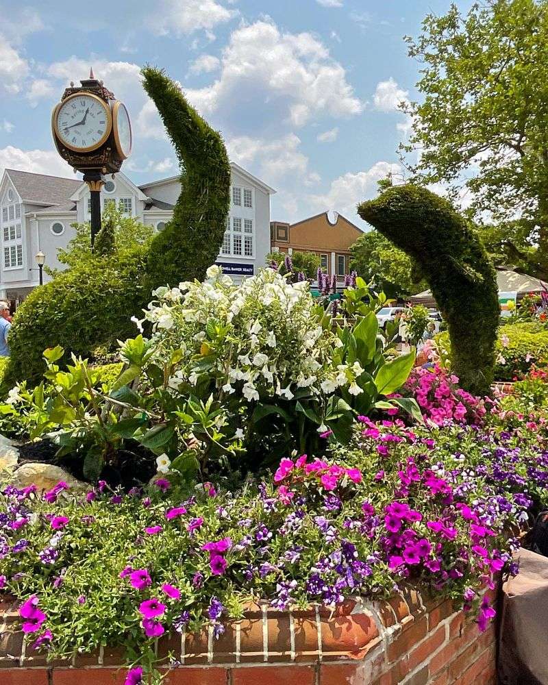 Downtown Planters and Pocket Gardens With Seasonal Blooms