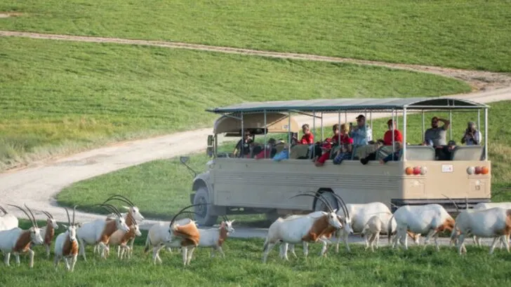 Memorable Day Trips From Columbus, Ohio Everyone Should Try at Least Once