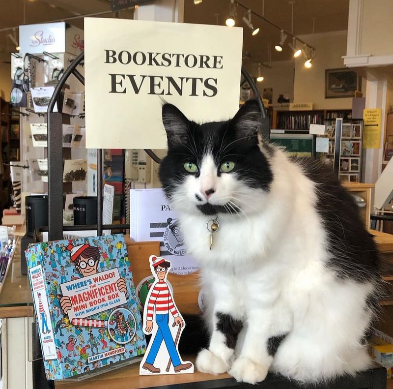 Charming Village Bookshops
