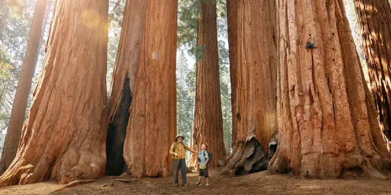 Sequoia National Park