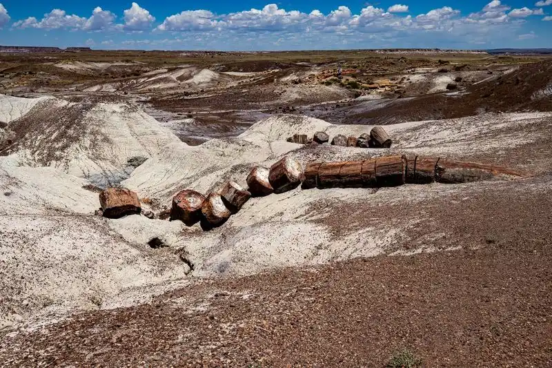 Petrified Forest National Park