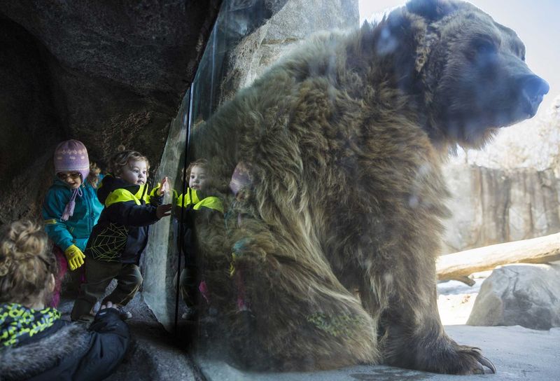 Minnesota Zoo