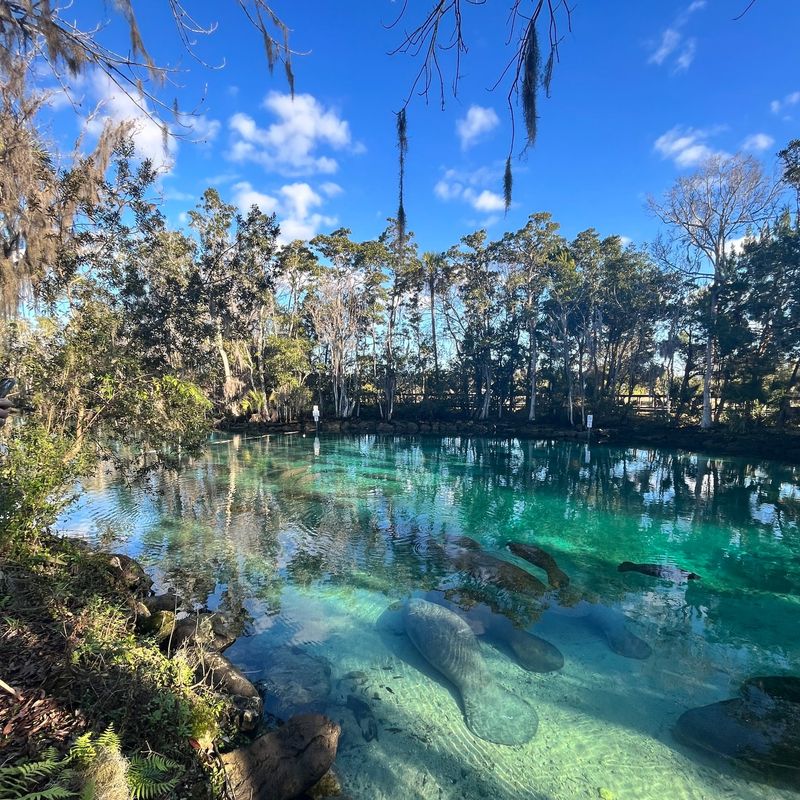 Crystal River