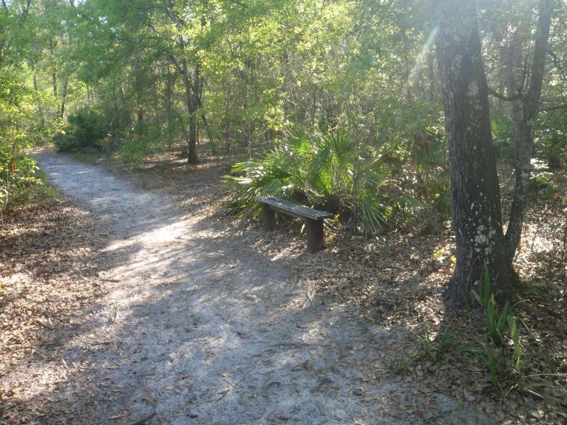 Micanopy's Scenic Cycling Trails