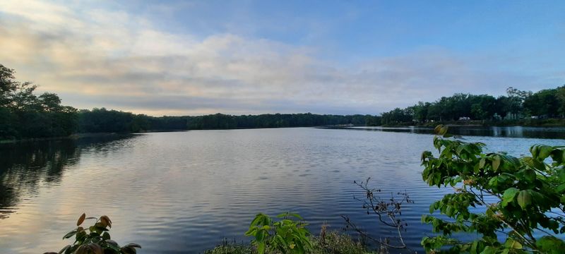 Mississippi – Sardis Lake