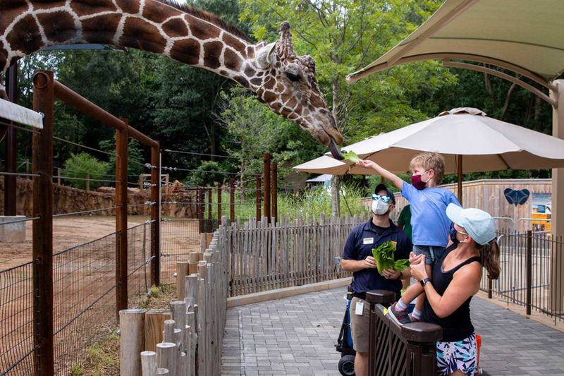 Atlanta Zoo