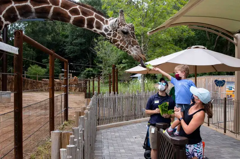 Atlanta Zoo