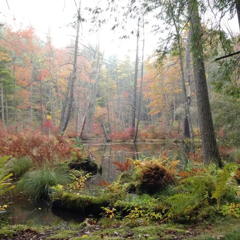 Chenango Valley State Park