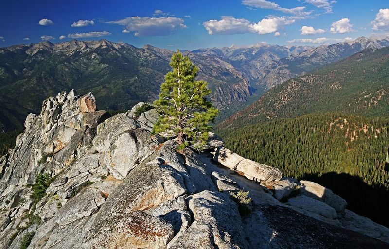 Fewer Crowds, Even in Peak Season