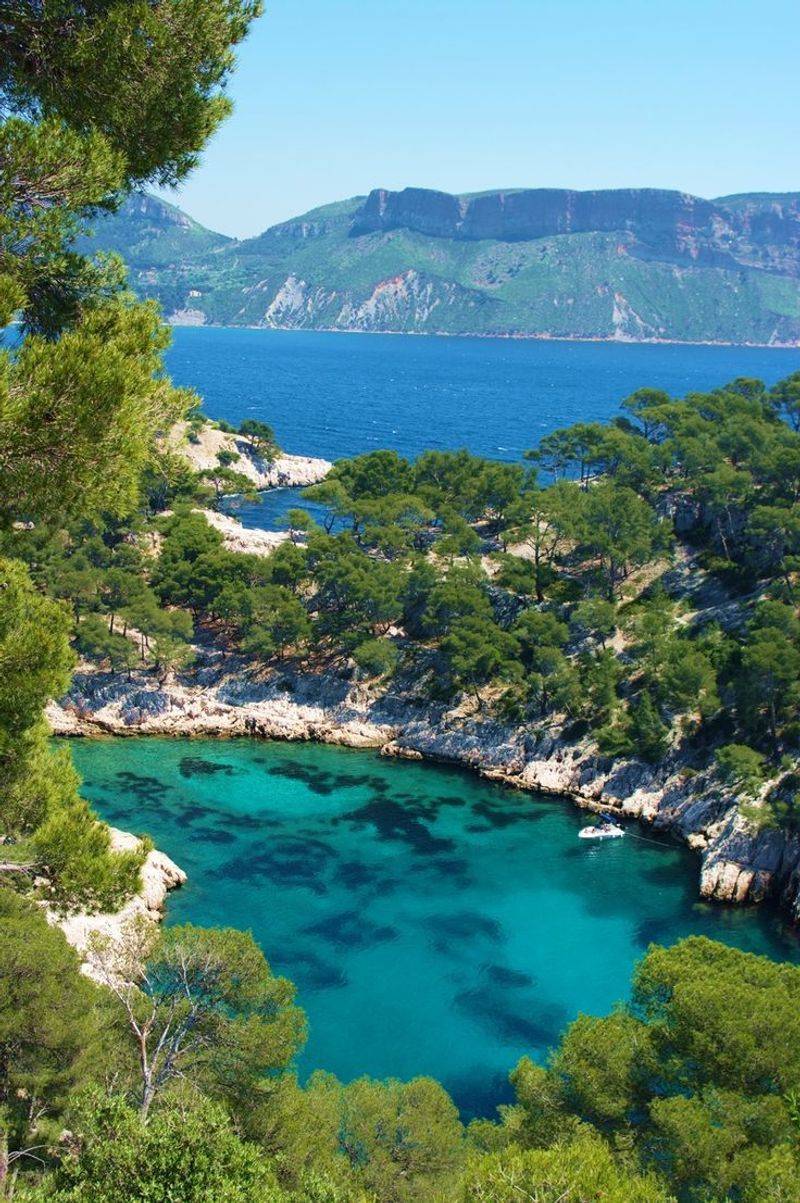 Cassis