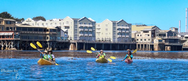 Kayaking in Monterey Bay