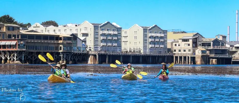 Kayaking in Monterey Bay