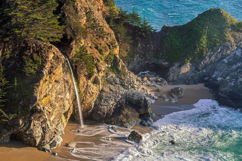 Big Sur — Wind-Shaped Pines and Cliff-Hugging Flora