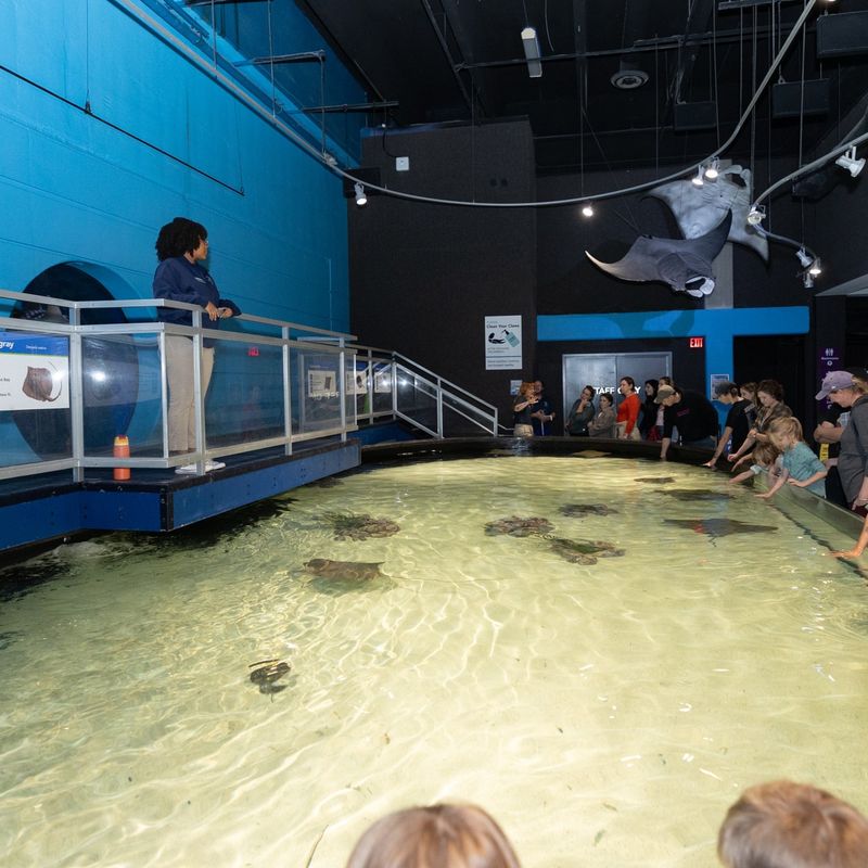 Virginia Aquarium & Marine Science Center (Virginia Beach)