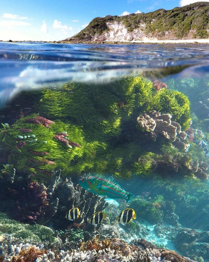 Lord Howe Island, Australia