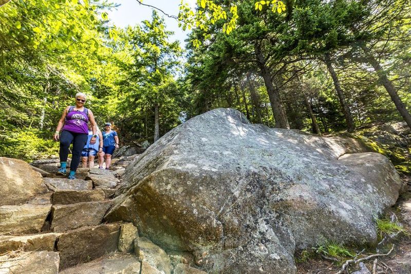 Hiking the Whispering Pines Trail
