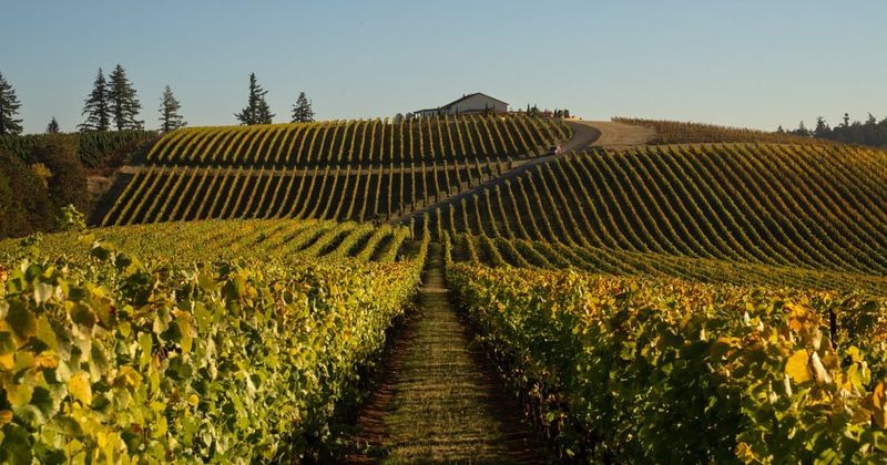 Willamette Valley Wine Country