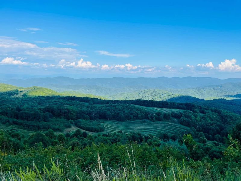 Max Patch (on the TN/NC border)