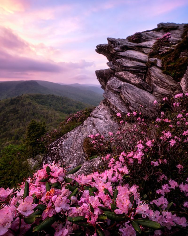 Linville Gorge