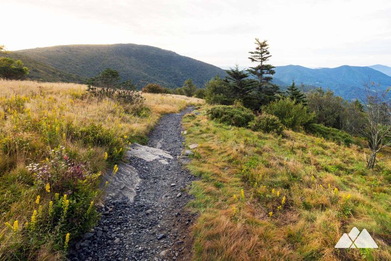 Roan Mountain Trail
