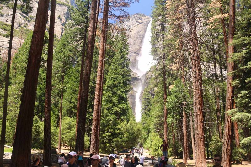 Yosemite Falls
