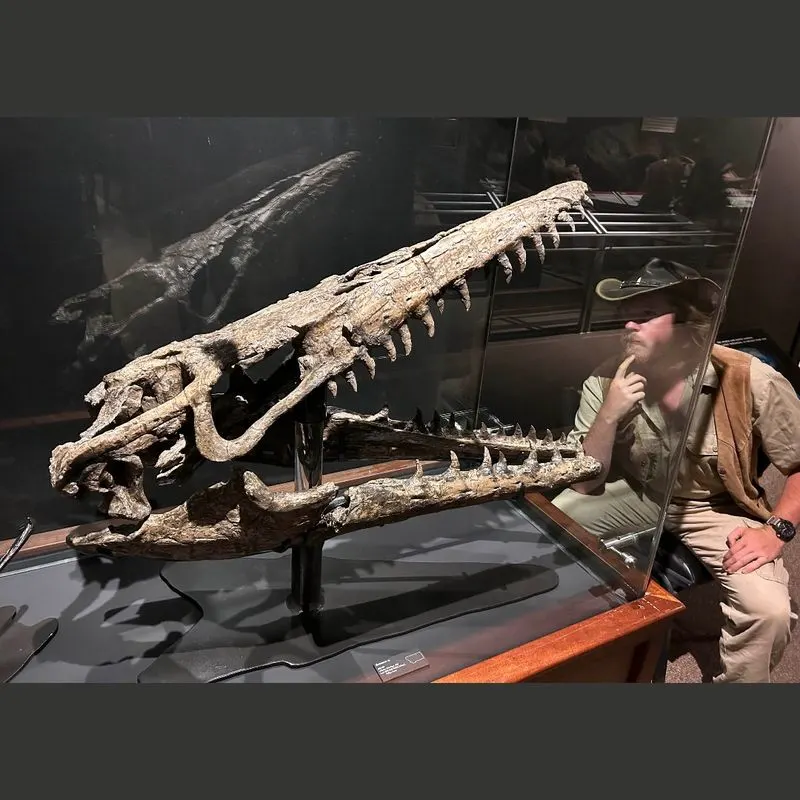 Museum of the Rockies (Bozeman) – More Than Dinosaurs