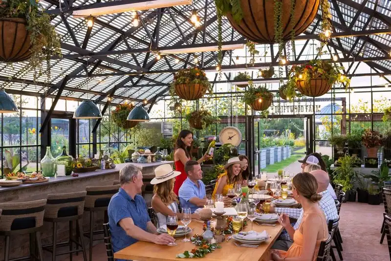 Farm-to-Table Dining Experiences