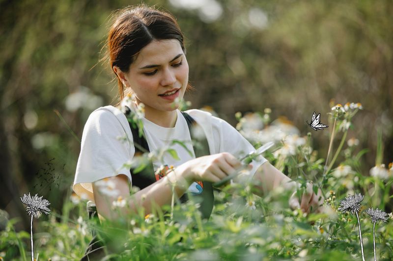 Plant Gathering